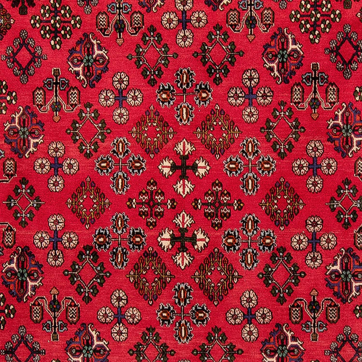 Alfombra persa - Nómada - 330 x 240 cm - rojo oscuro