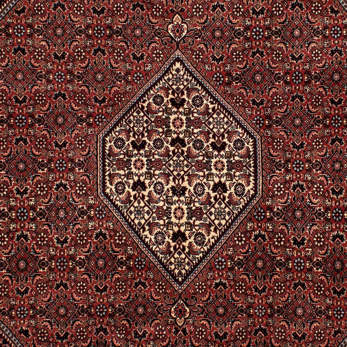 Alfombra persa - Bidjar - 302 x 198 cm - rojo oscuro