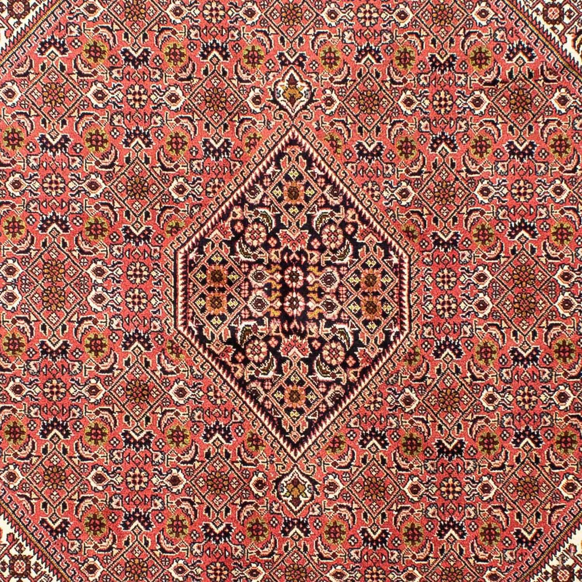 Alfombra persa - Bidjar - 240 x 170 cm - rojo claro