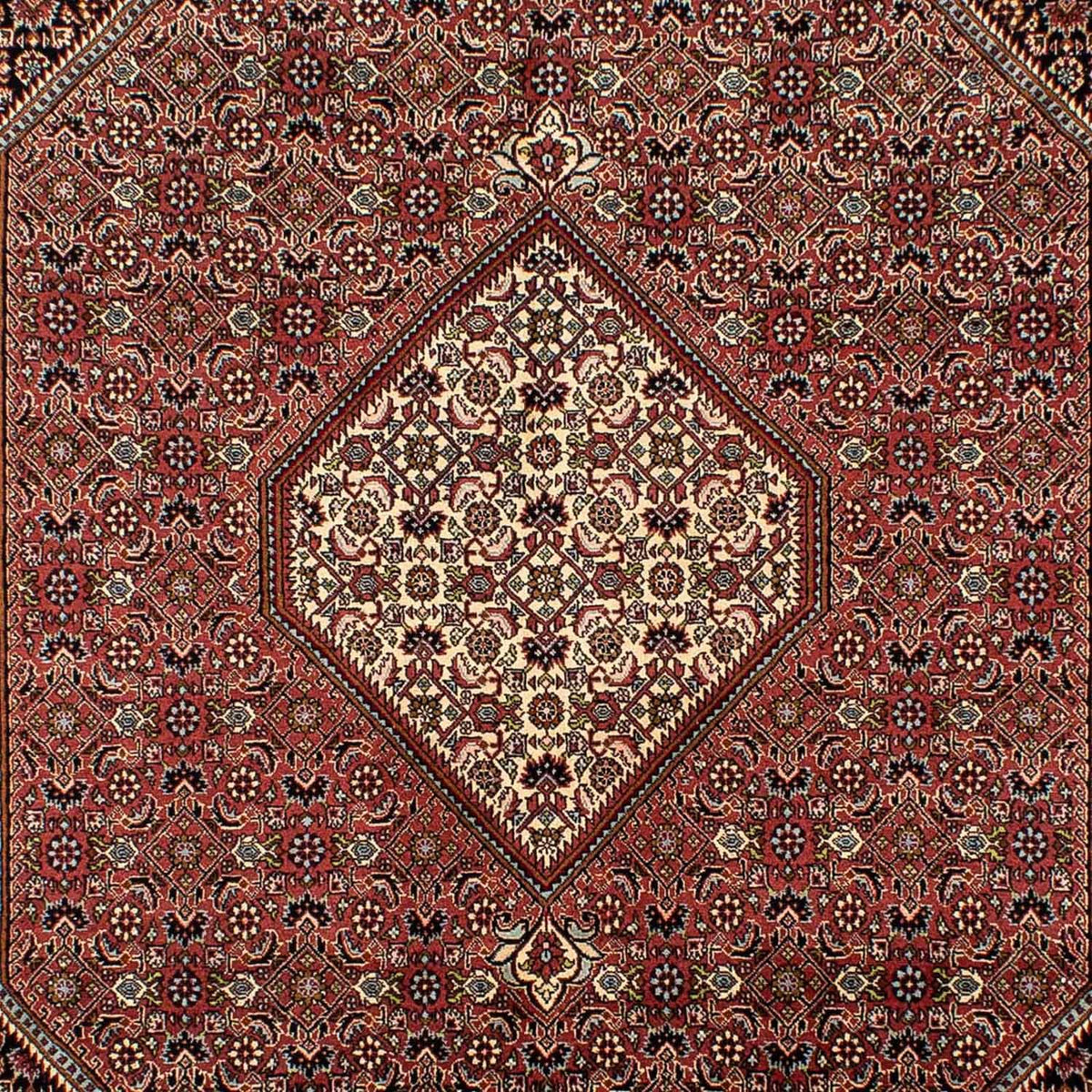 Alfombra persa - Bidjar - 298 x 195 cm - marrón