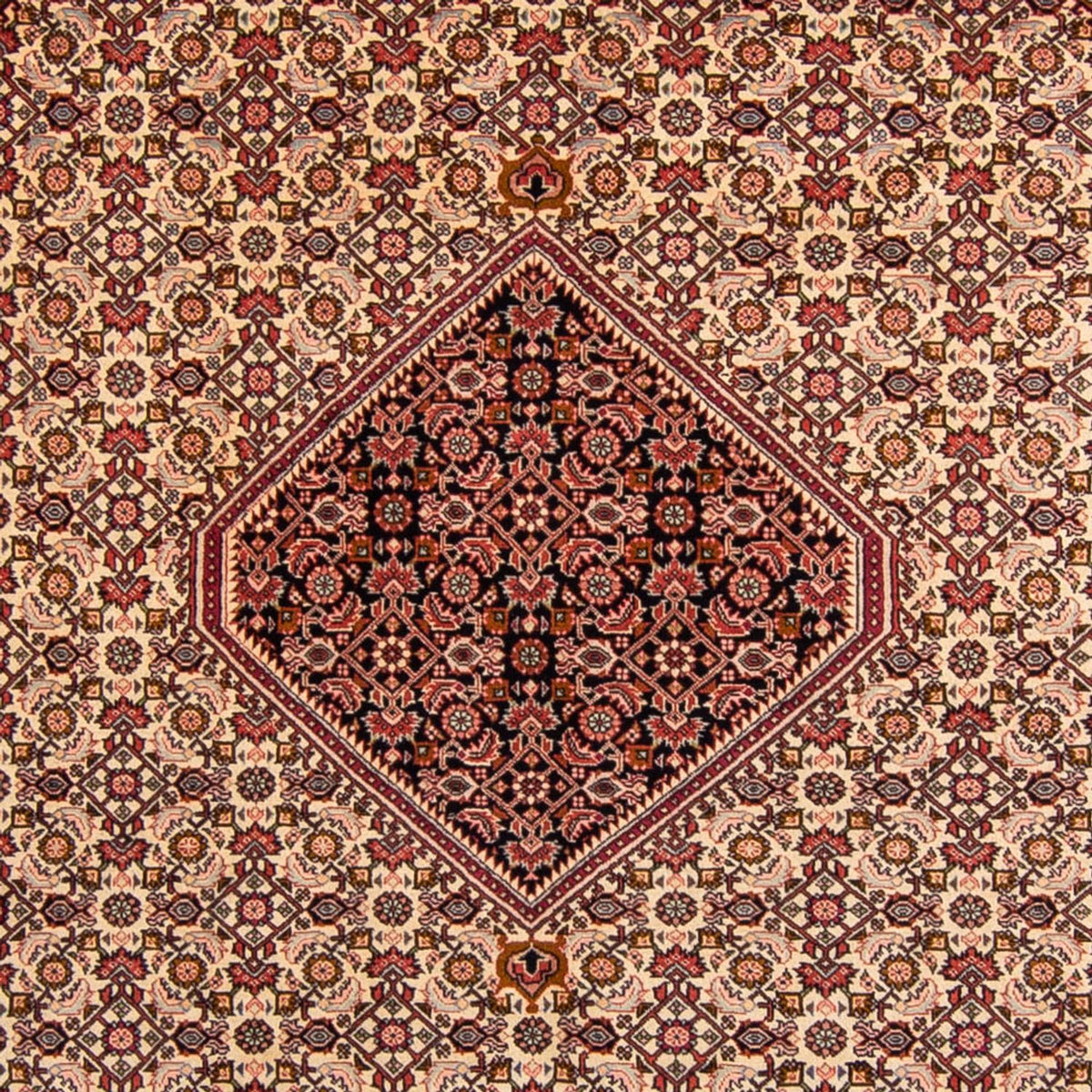 Alfombra persa - Bidjar - 330 x 247 cm - rojo claro