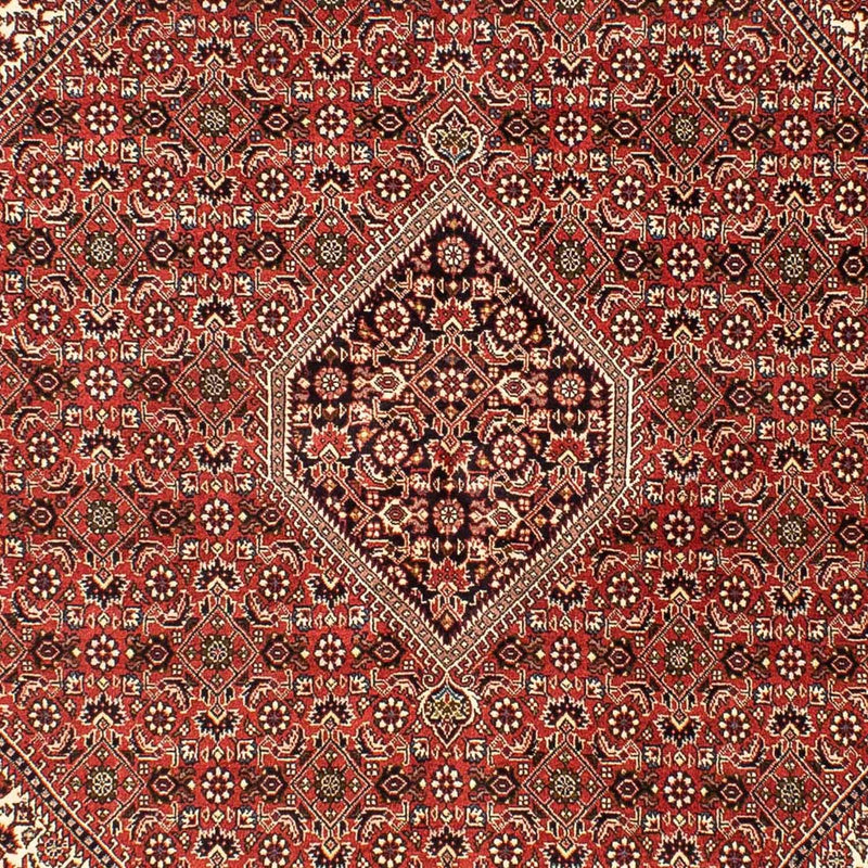 Alfombra persa - Bidjar - 242 x 173 cm - rojo claro
