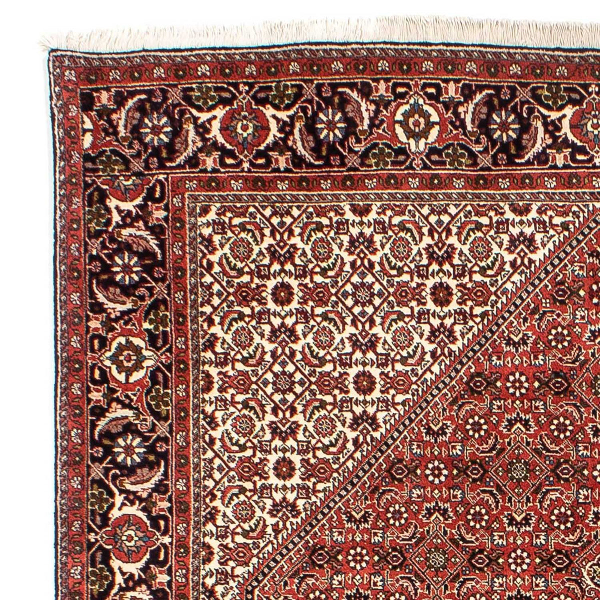 Alfombra persa - Bidjar - 242 x 173 cm - rojo claro