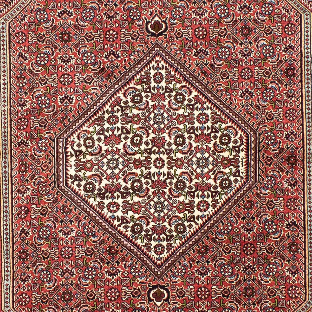 Alfombra persa - Bidjar - 255 x 170 cm - rojo claro