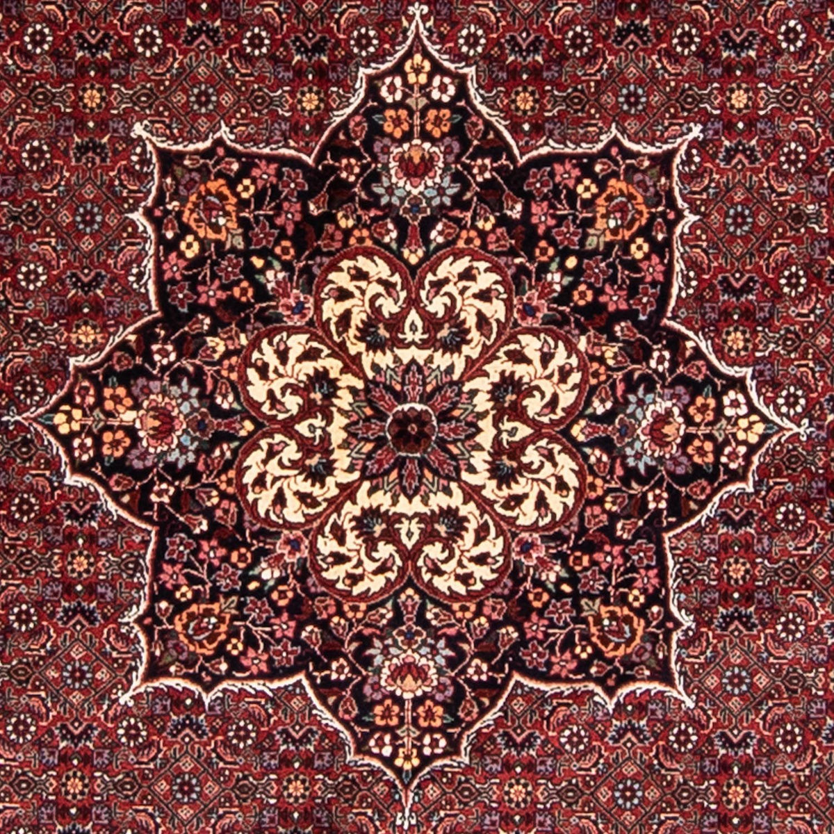 Alfombra persa - Bidjar redondo  - 205 x 205 cm - rojo oscuro