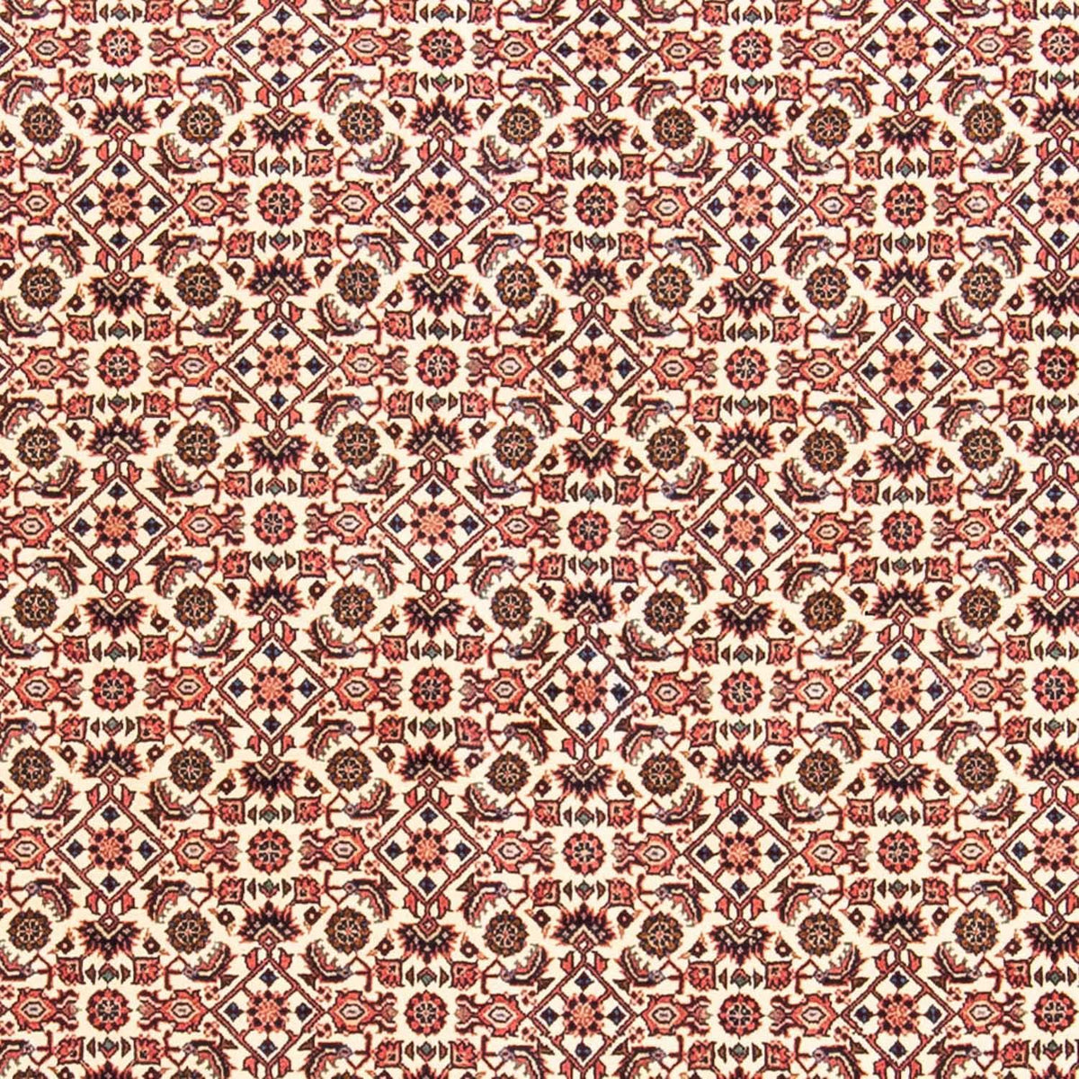 Alfombra persa - Bidjar - 237 x 170 cm - rojo claro