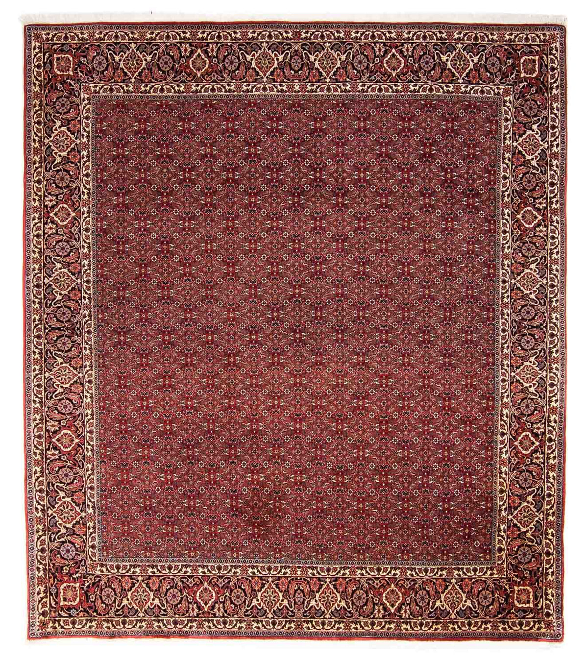 Alfombra persa - Bidjar - 288 x 256 cm - rojo oscuro