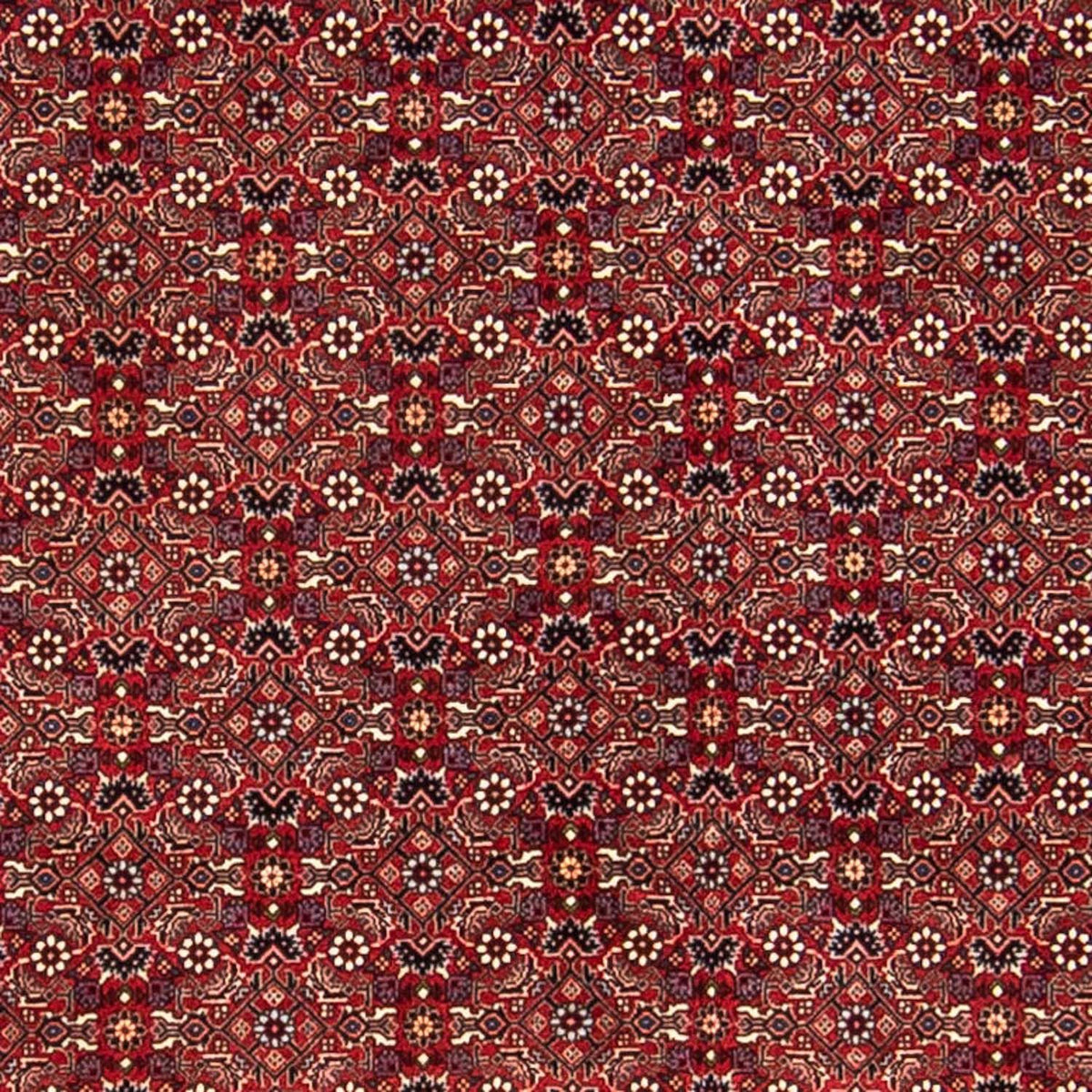 Alfombra persa - Bidjar - 288 x 256 cm - rojo oscuro