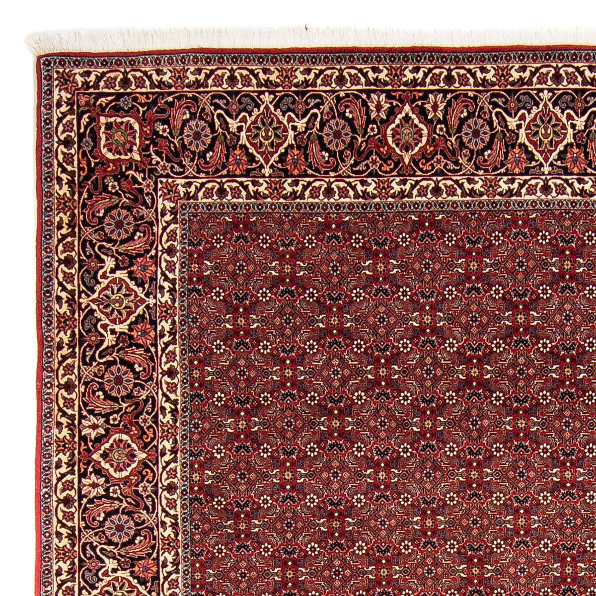 Alfombra persa - Bidjar - 288 x 256 cm - rojo oscuro