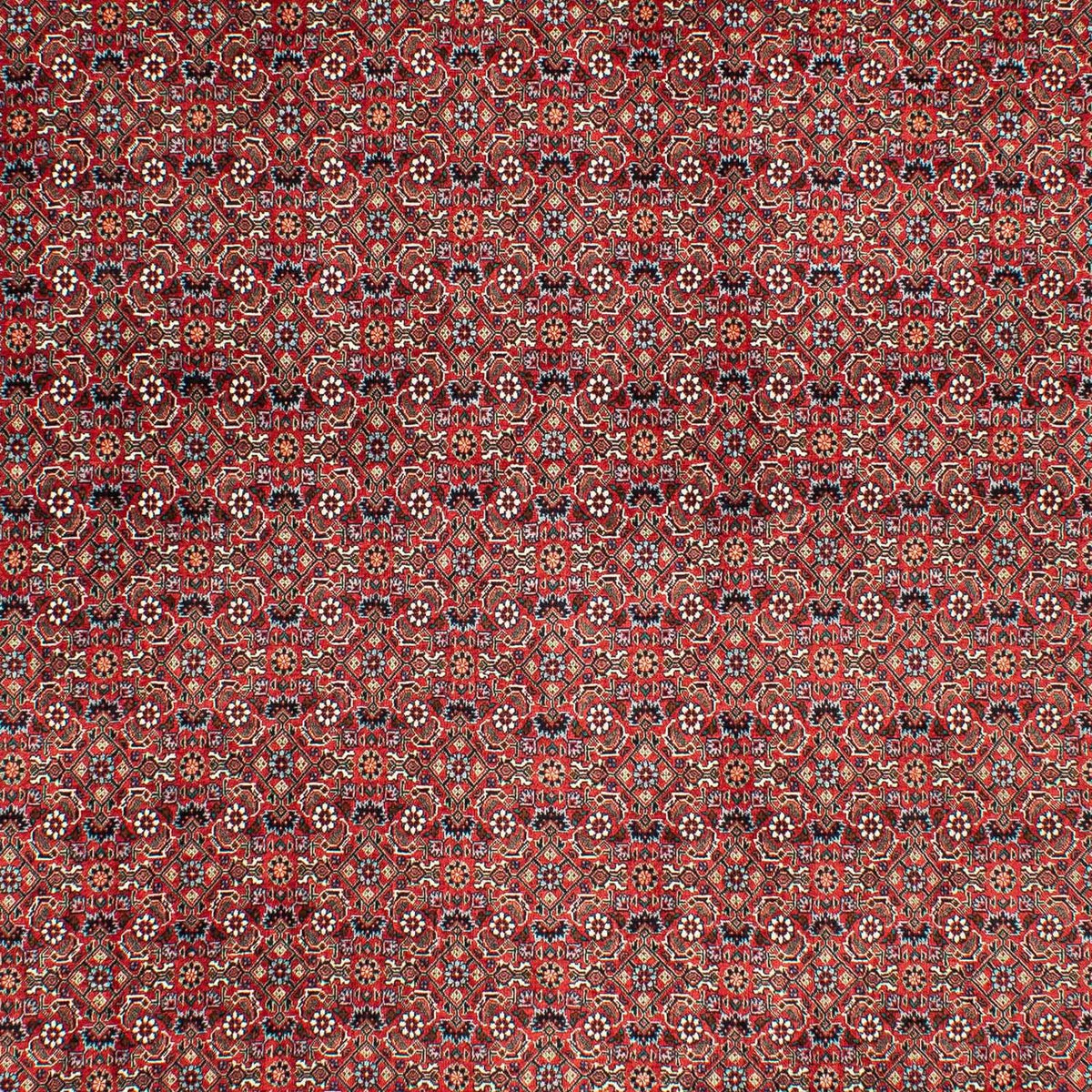 Alfombra persa - Bidjar - 290 x 203 cm - rojo oscuro