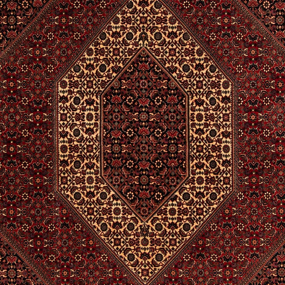 Alfombra persa - Bidjar - 248 x 200 cm - rojo oscuro