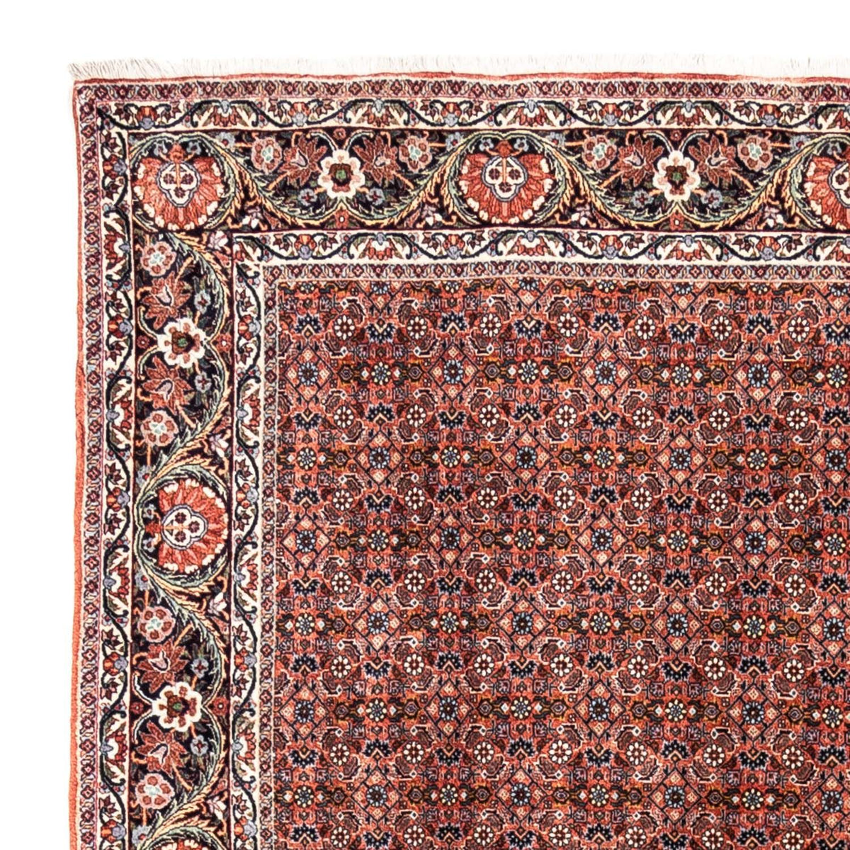 Alfombra persa - Bidjar - 288 x 206 cm - rojo