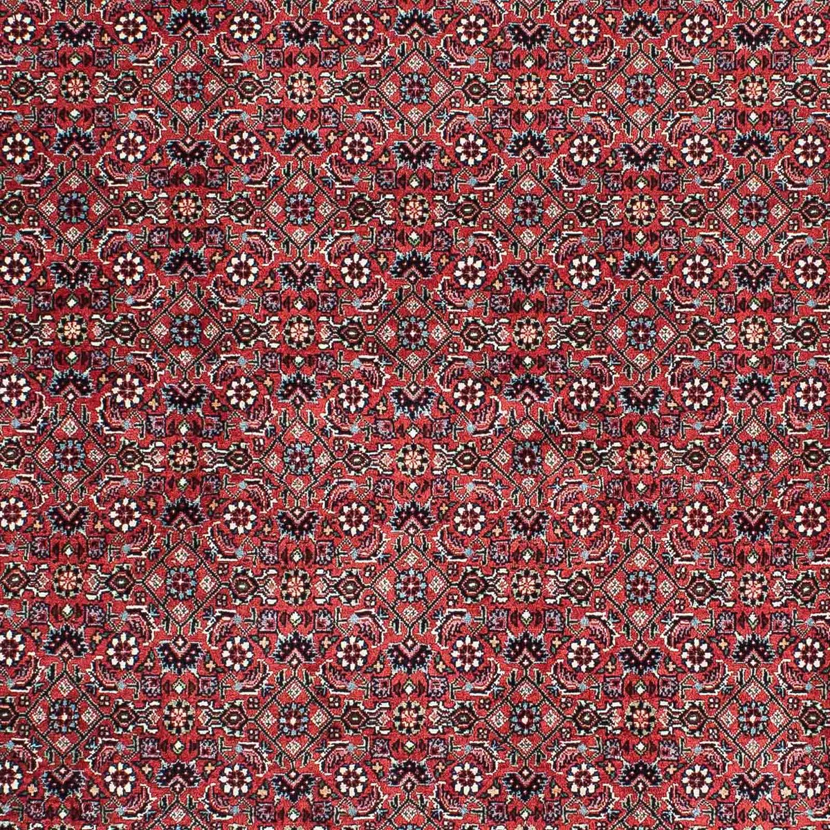 Alfombra persa - Bidjar - 212 x 130 cm - rojo claro