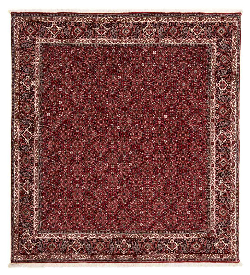 Alfombra persa - Bidjar cuadrado  - 212 x 206 cm - rojo oscuro