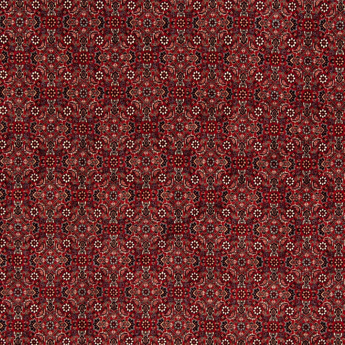 Alfombra persa - Bidjar cuadrado  - 212 x 206 cm - rojo oscuro