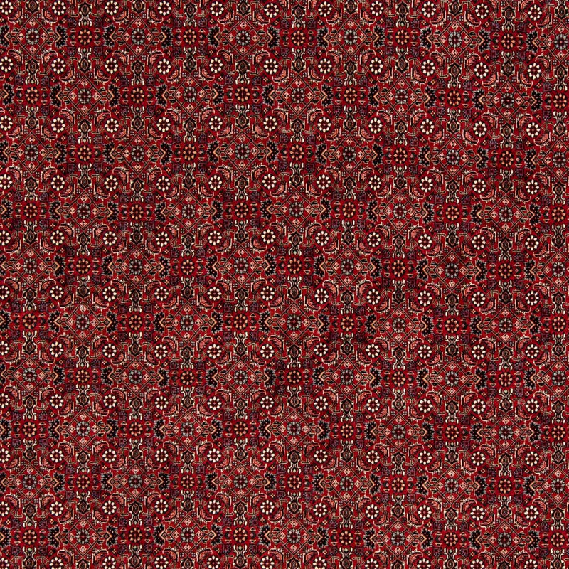 Alfombra persa - Bidjar cuadrado  - 212 x 206 cm - rojo oscuro