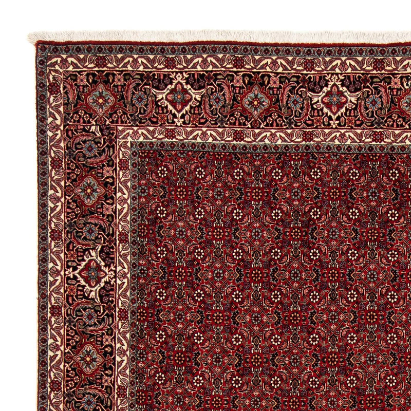Alfombra persa - Bidjar cuadrado  - 212 x 206 cm - rojo oscuro