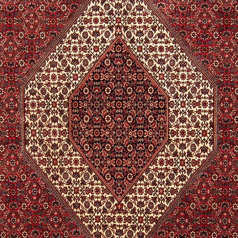 Alfombra persa - Bidjar - 304 x 251 cm - rojo oscuro