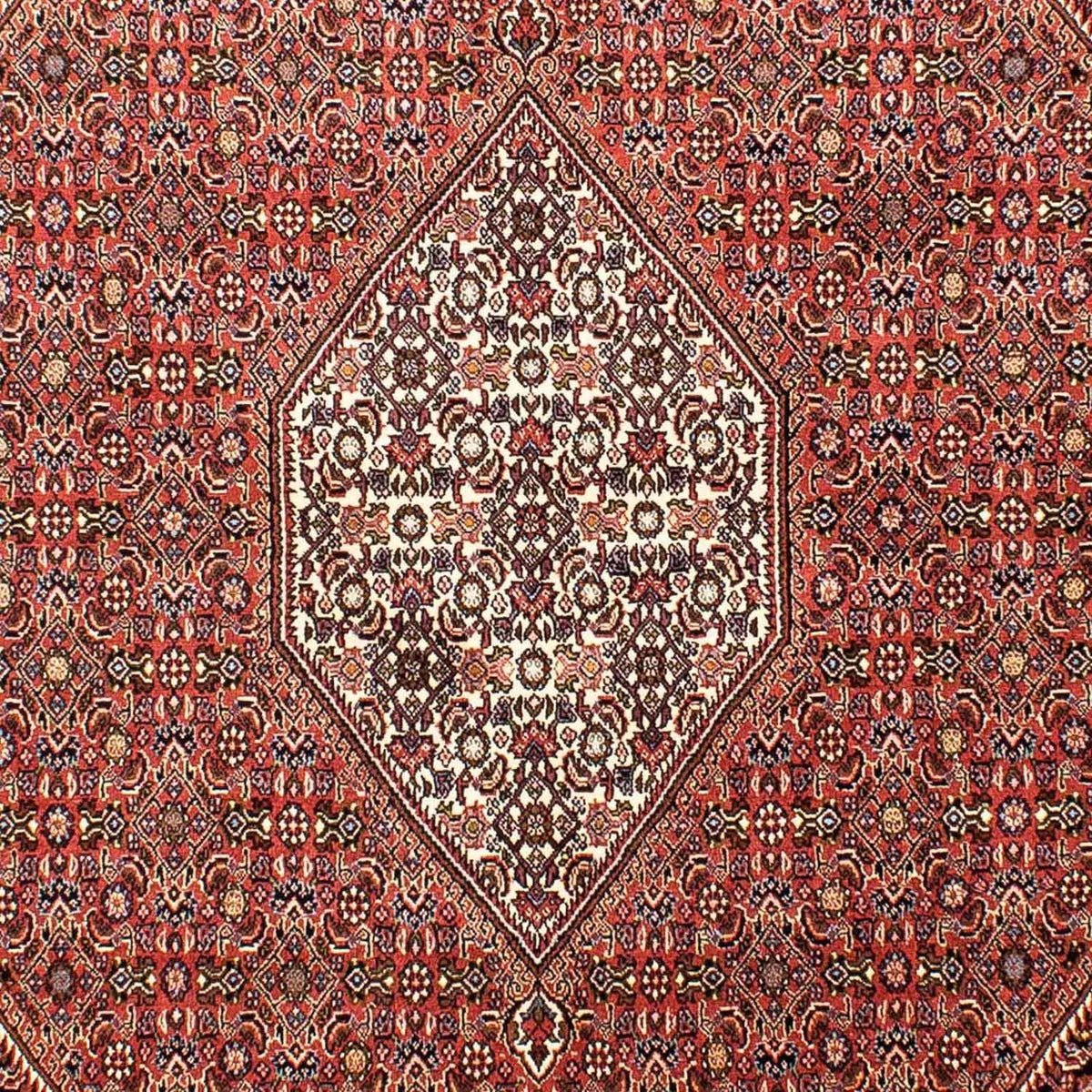 Alfombra persa - Bidjar - 268 x 165 cm - rojo claro