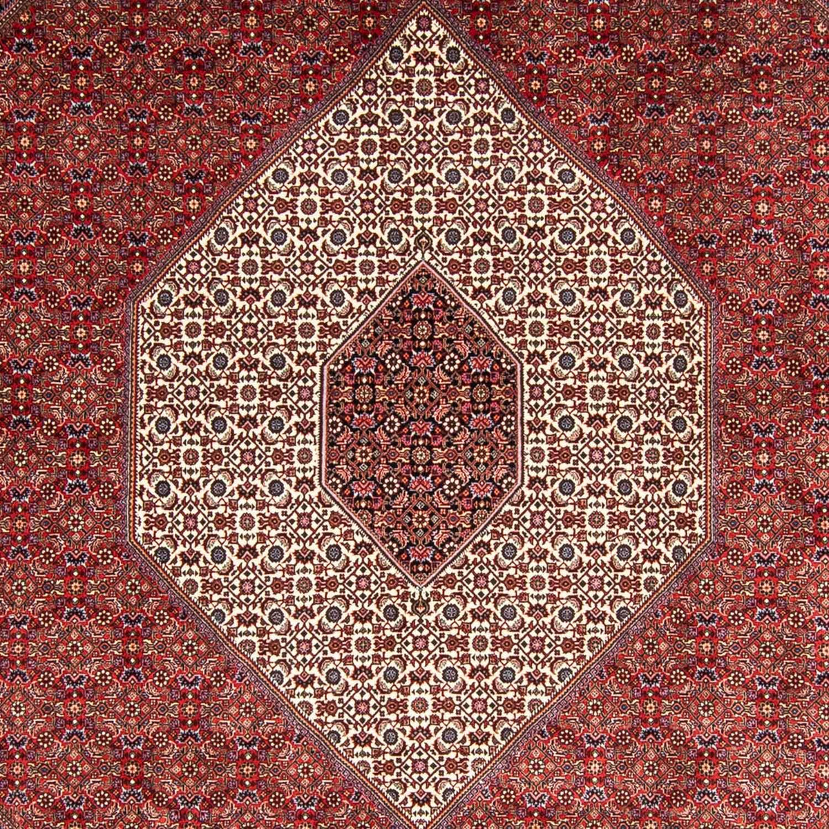 Alfombra persa - Bidjar - 348 x 252 cm - rojo oscuro
