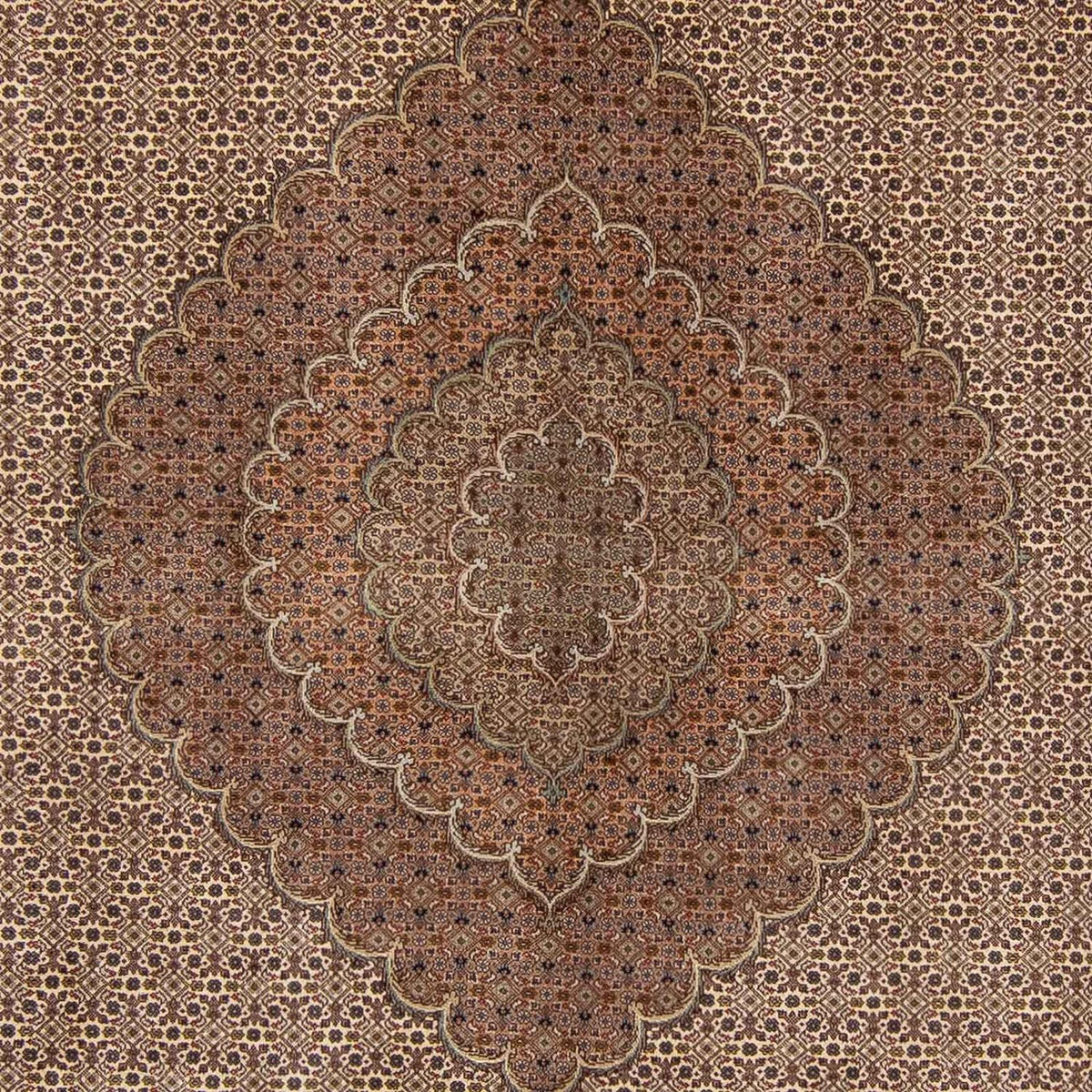 Alfombra persa - Nómada - 360 x 263 cm - marrón oscuro