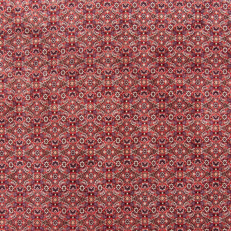 Alfombra persa - Bidjar - 343 x 251 cm - rojo claro