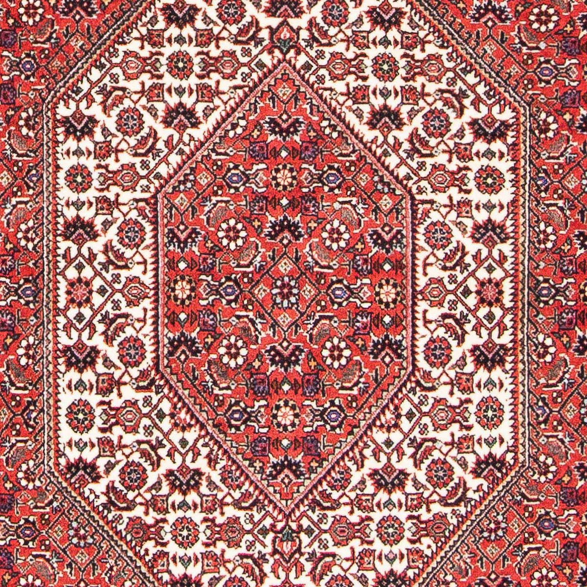 Alfombra persa - Bidjar - 175 x 108 cm - rojo claro