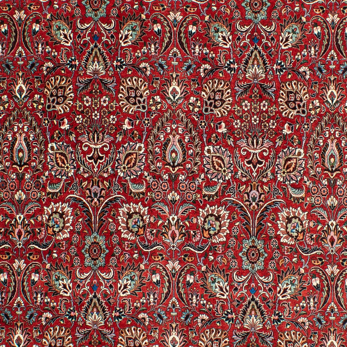 Alfombra persa - Bidjar - 286 x 202 cm - rojo oscuro
