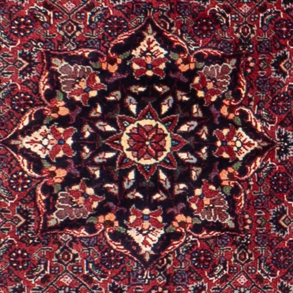Alfombra persa - Bidjar redondo  - 150 x 150 cm - rojo oscuro