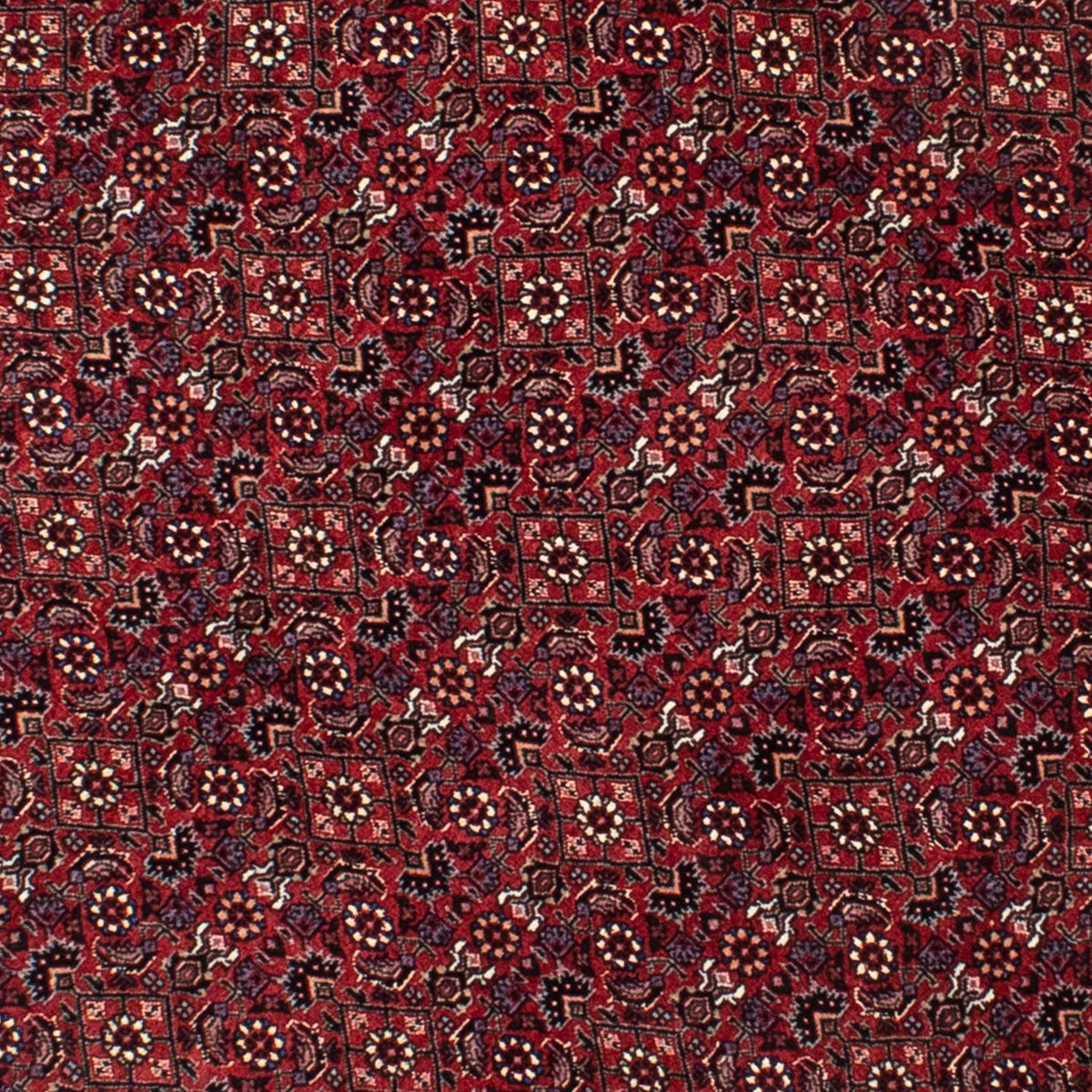 Alfombra persa - Bidjar redondo  - 150 x 150 cm - rojo oscuro