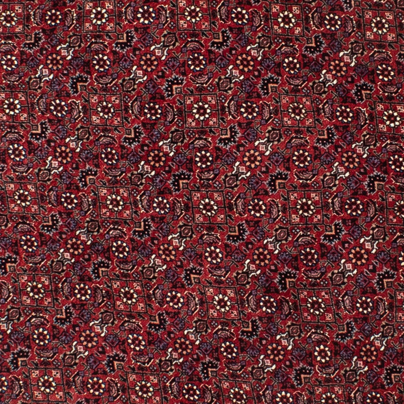 Alfombra persa - Bidjar redondo  - 150 x 150 cm - rojo oscuro