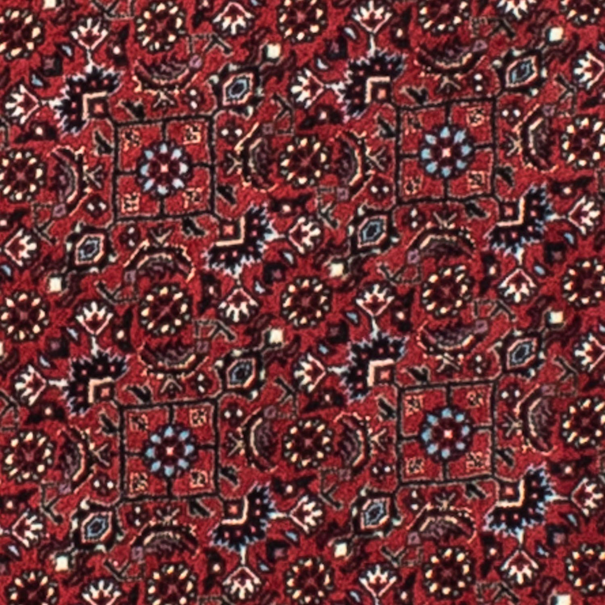 Alfombra persa - Bidjar redondo - 105 x 105 cm - rojo oscuro