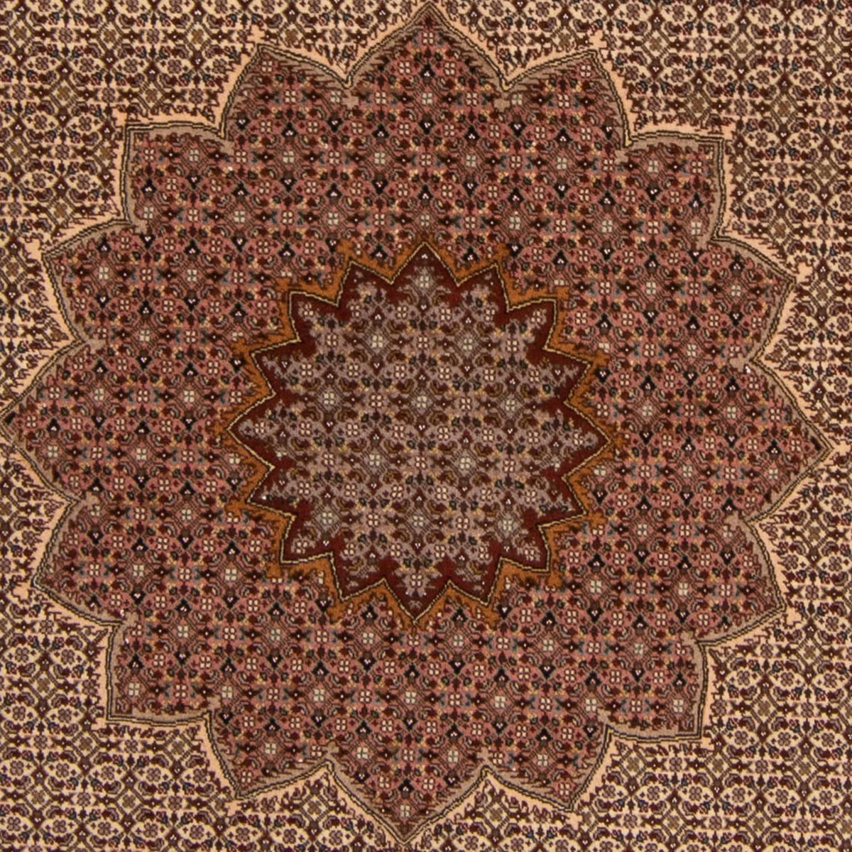 Alfombra Persa - Tabriz - Real - 260 x 248 cm - marrón
