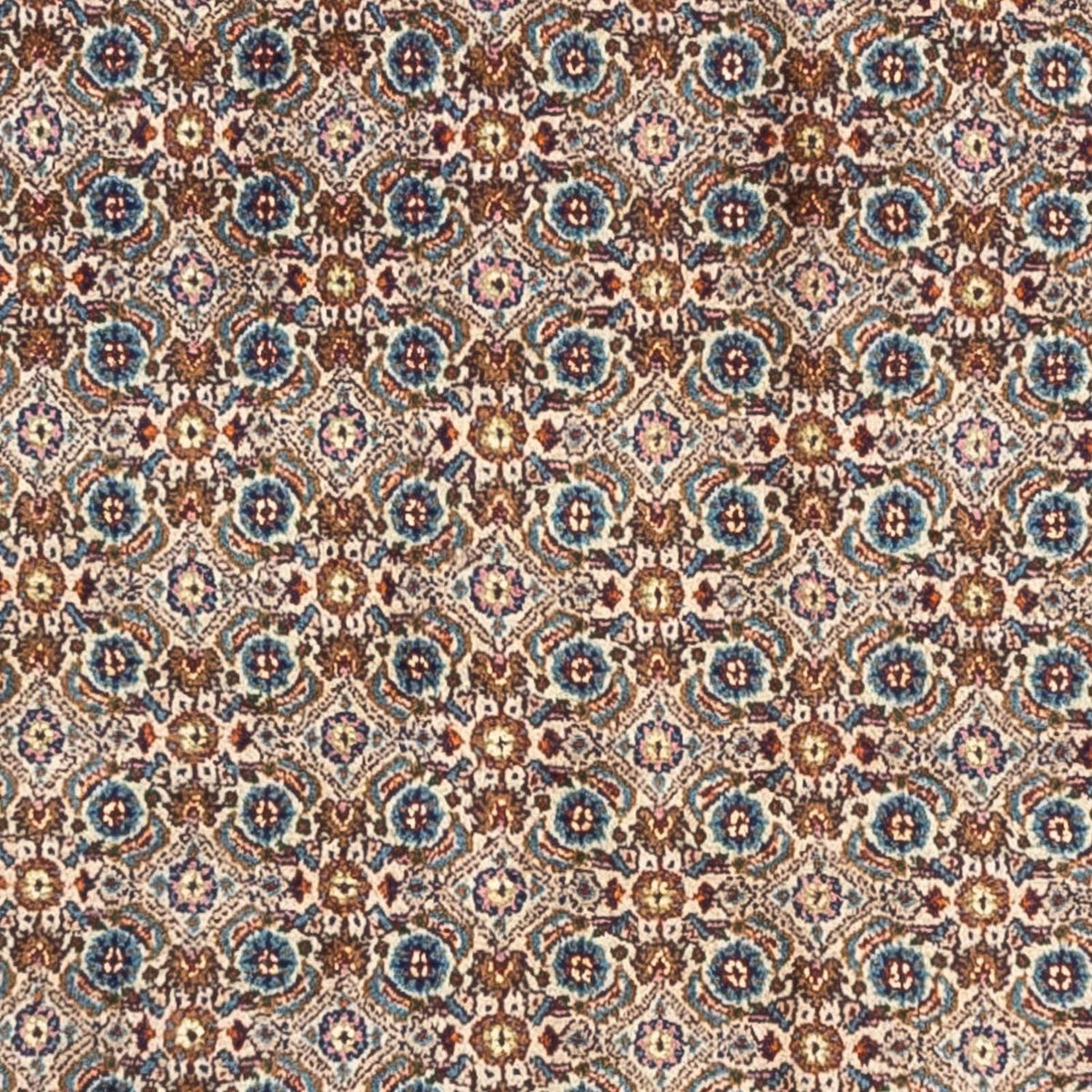 Alfombra persa - Clásica - 240 x 170 cm - beige