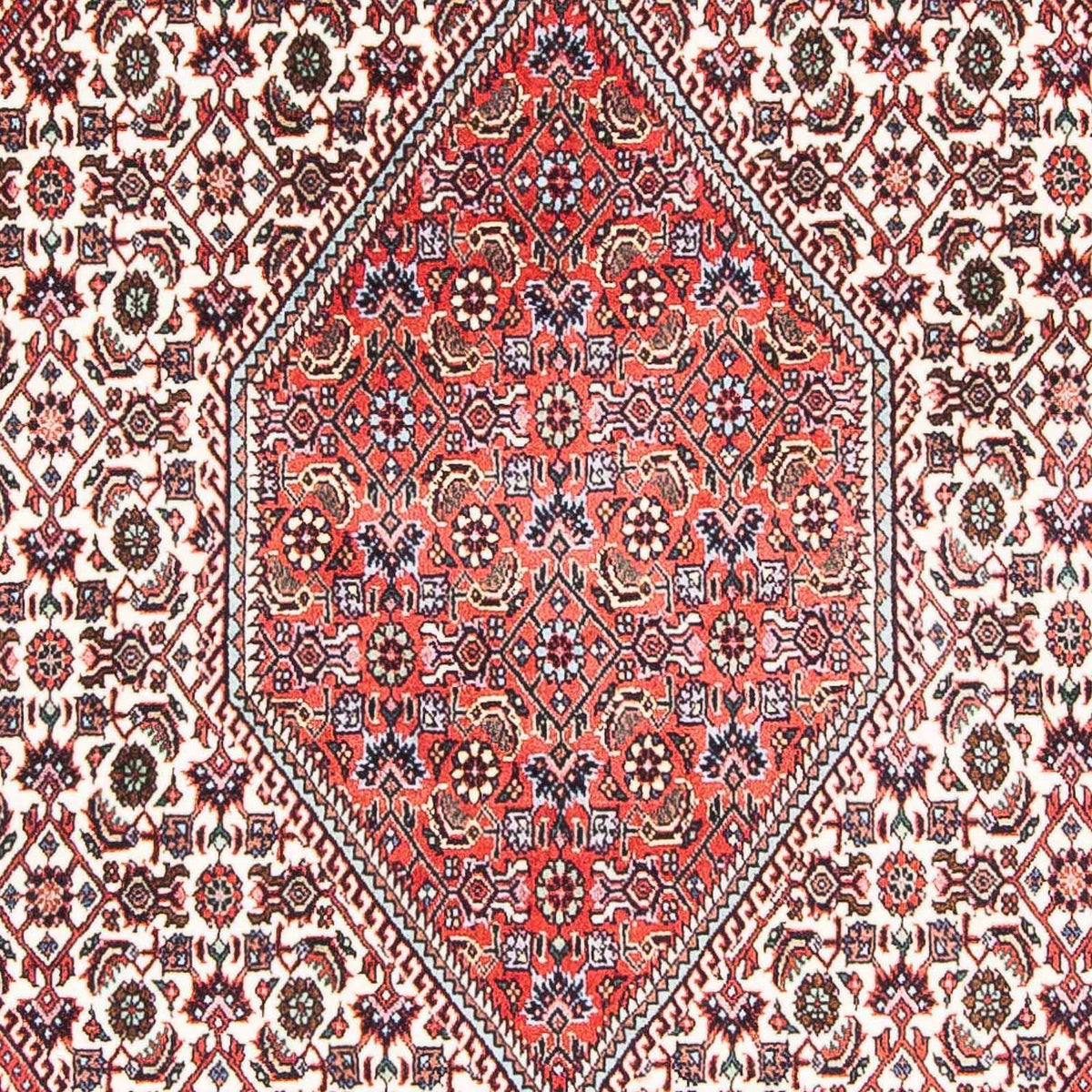 Alfombra persa - Bidjar - 175 x 113 cm - beige