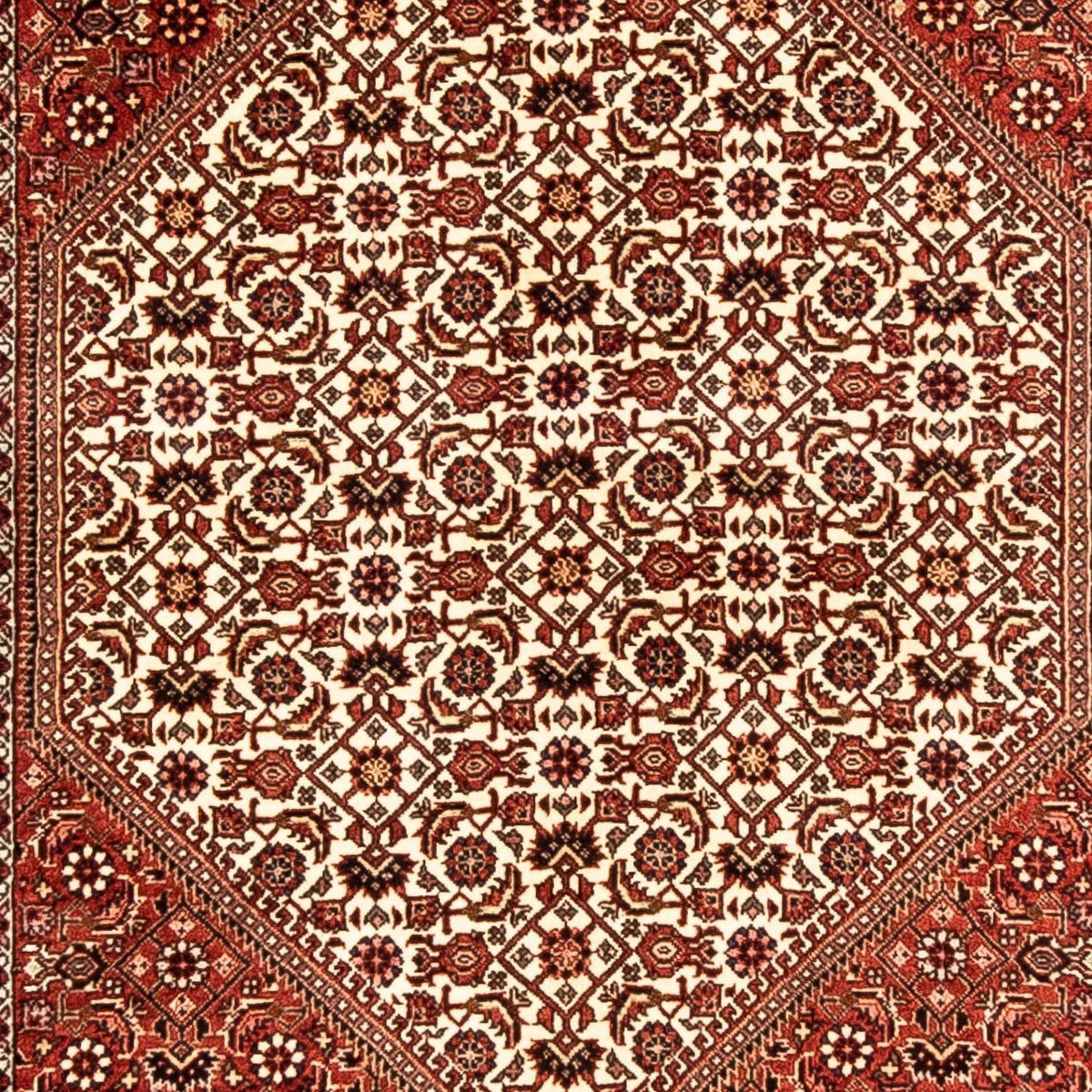 Alfombra de pasillo Alfombra persa - Bidjar - 304 x 83 cm - multicolor