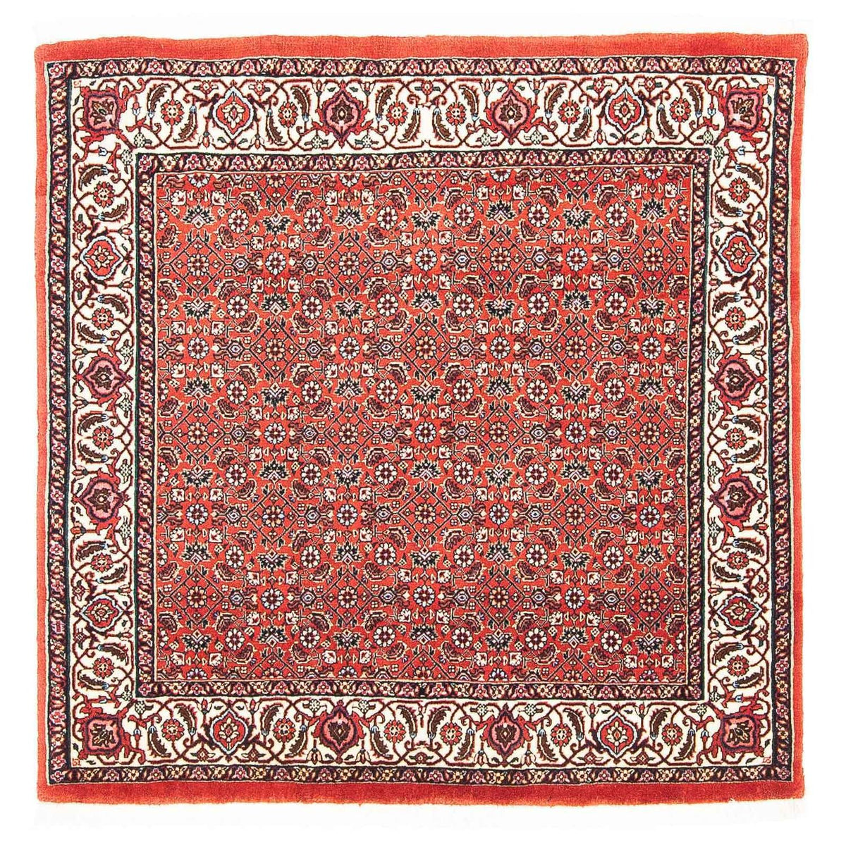 Alfombra persa - Bidjar cuadrado - 97 x 95 cm - rojo