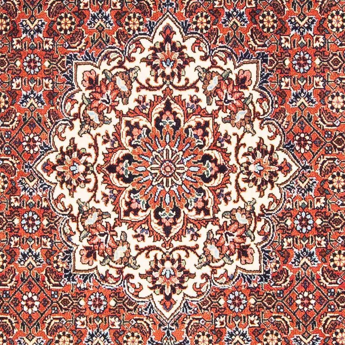 Alfombra persa - Bidjar - 148 x 88 cm - rojo