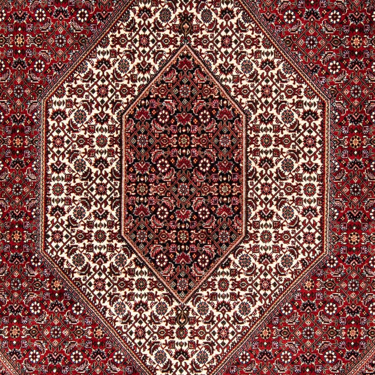 Alfombra persa - Bidjar - 243 x 167 cm - rojo