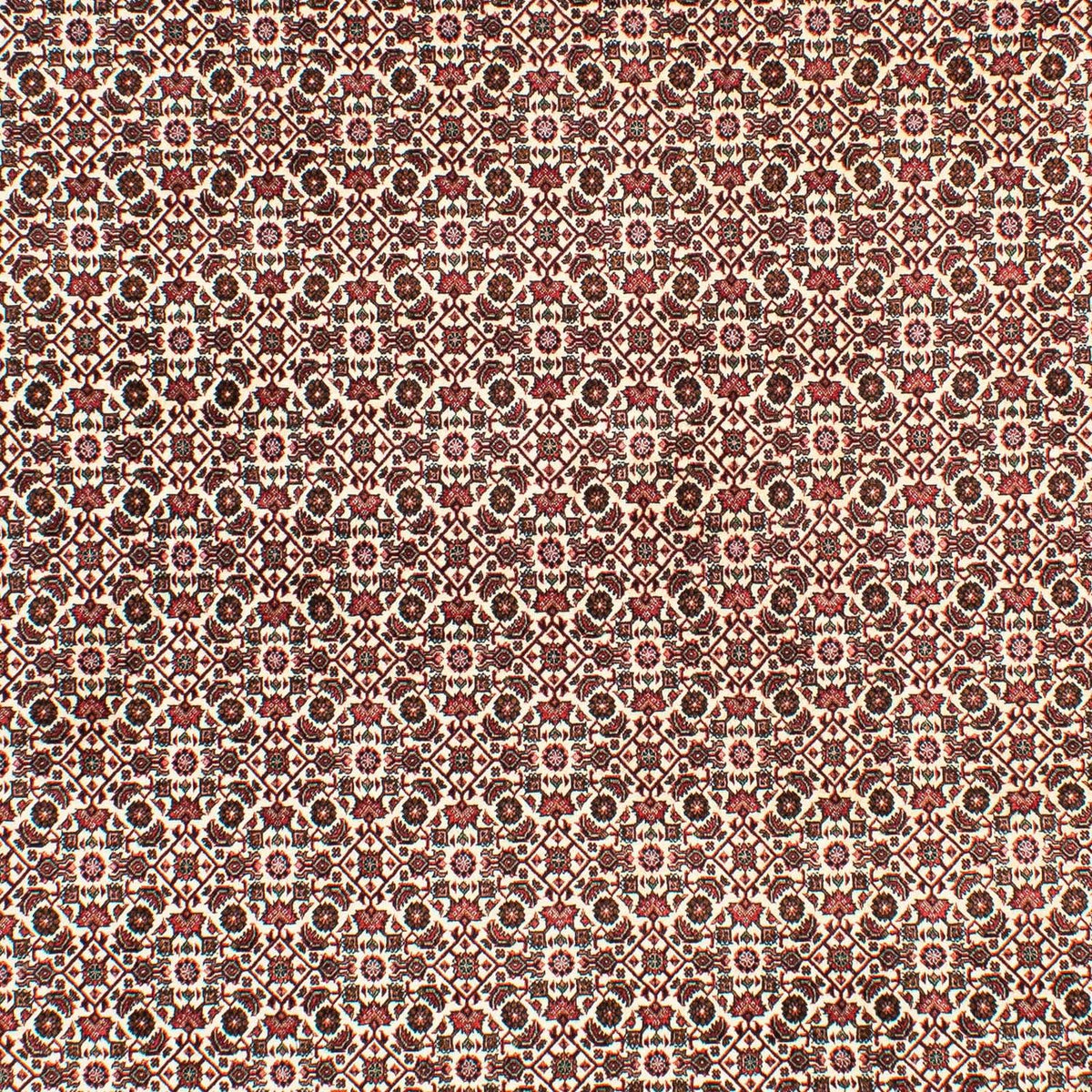 Alfombra persa - Bidjar - 294 x 200 cm - beige