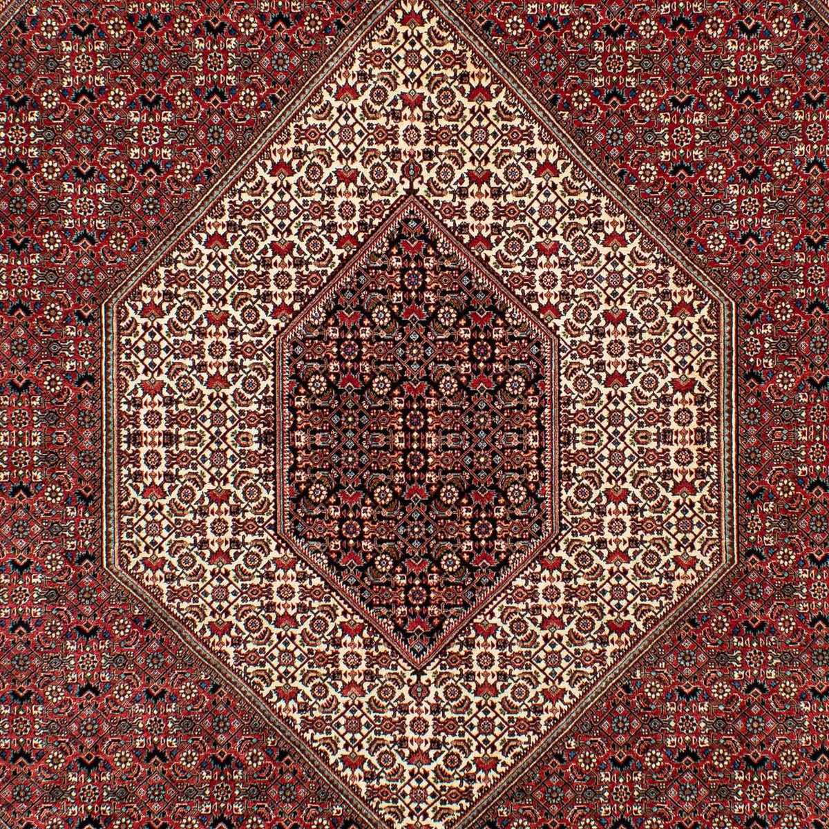 Alfombra persa - Bidjar - 305 x 203 cm - rojo oscuro