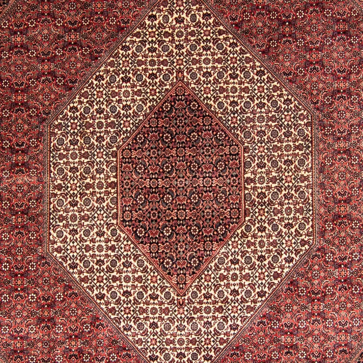 Alfombra persa - Bidjar - 340 x 252 cm - rojo claro