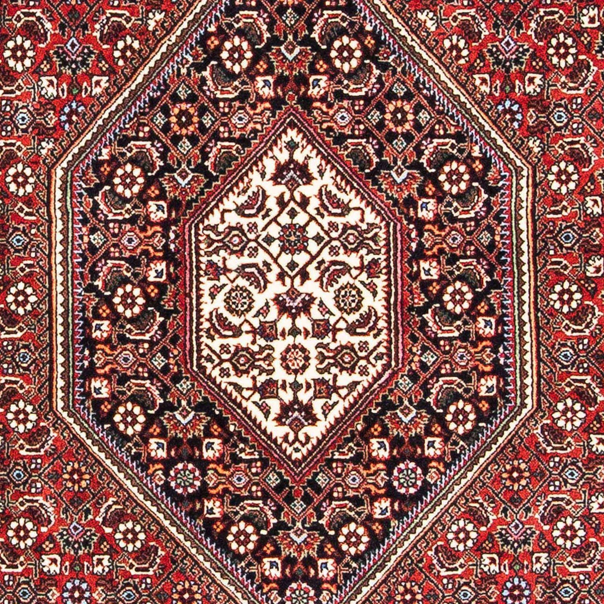 Alfombra persa - Bidjar - 182 x 109 cm - rojo