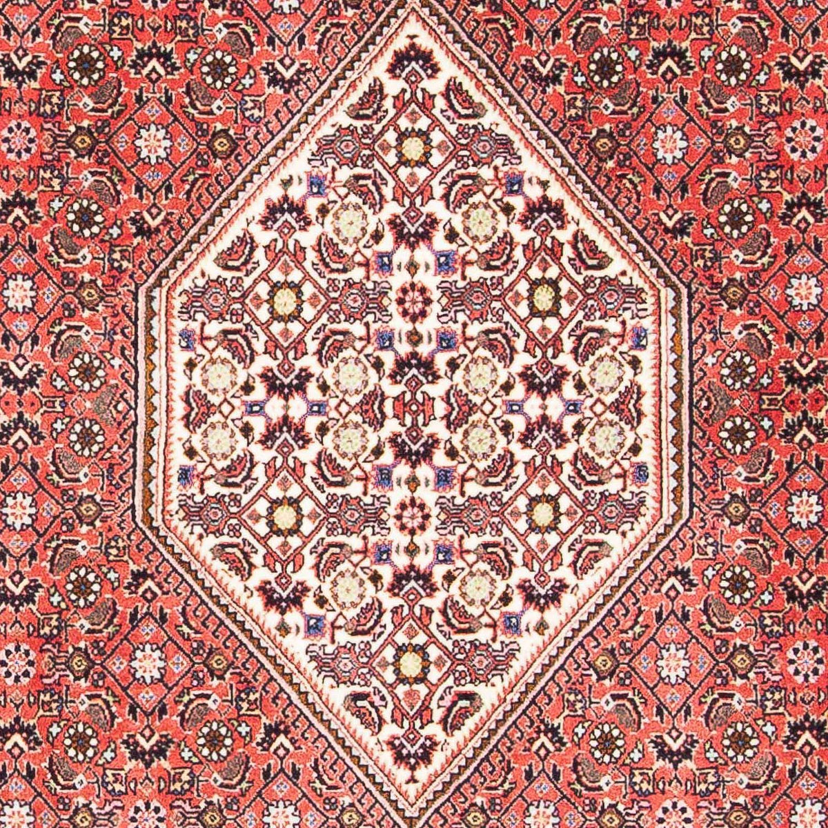 Alfombra persa - Bidjar - 179 x 108 cm - rojo claro
