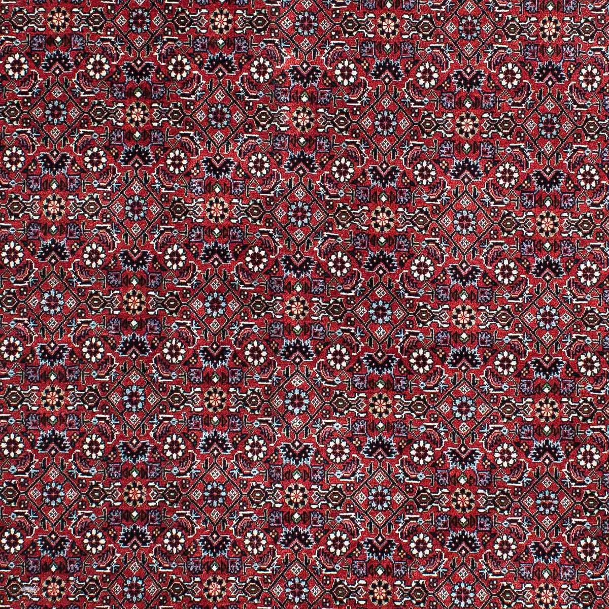 Alfombra persa - Bidjar - 202 x 132 cm - rojo