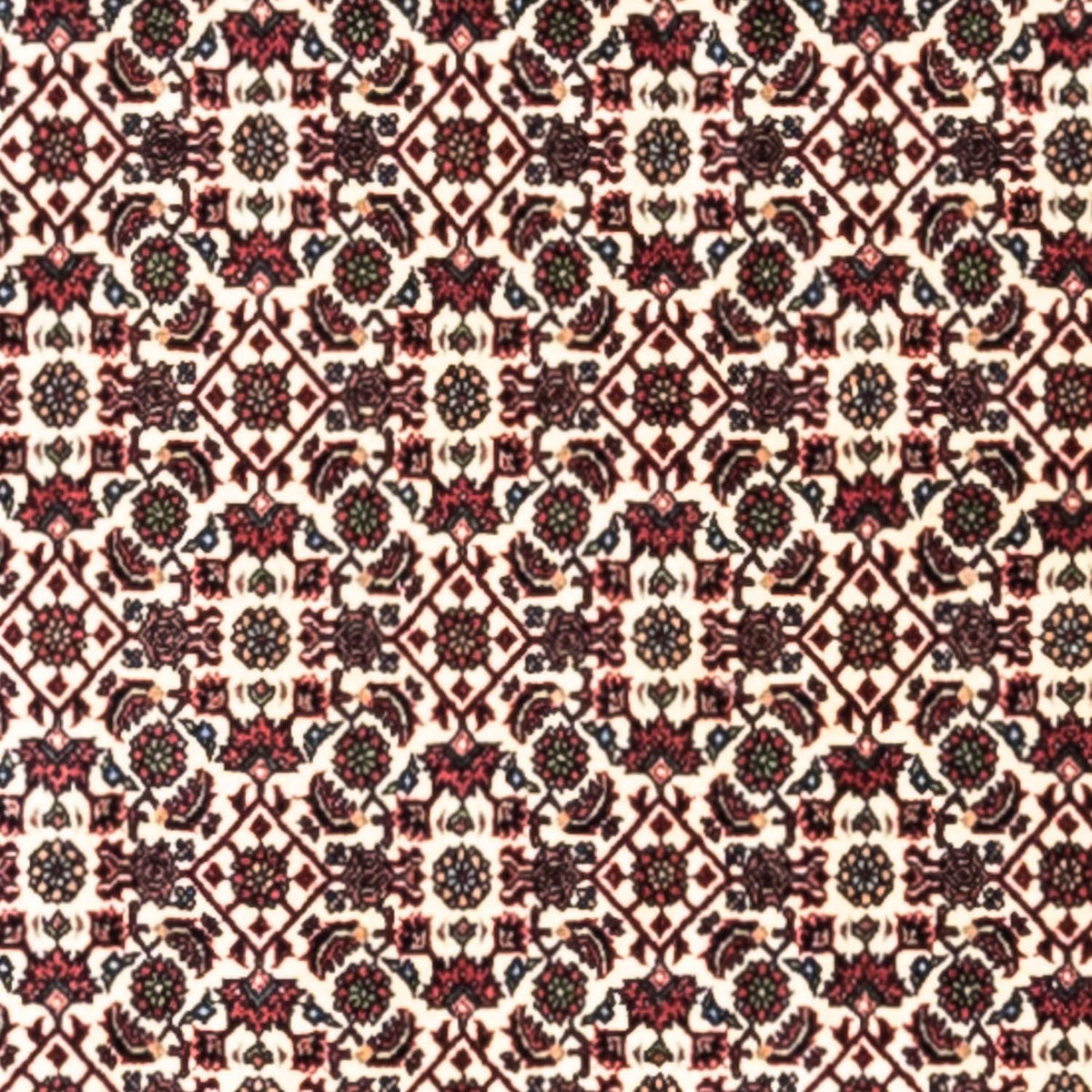 Alfombra persa - Bidjar - 296 x 204 cm - beige