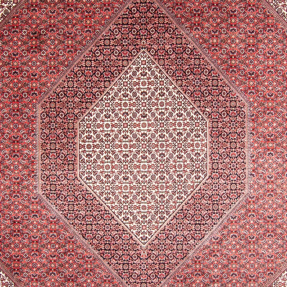 Alfombra persa - Bidjar - 355 x 248 cm - rojo claro