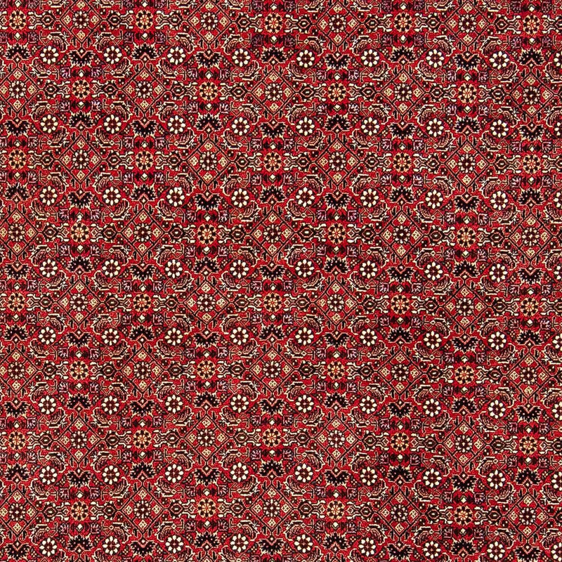 Alfombra persa - Bidjar - 248 x 174 cm - rojo
