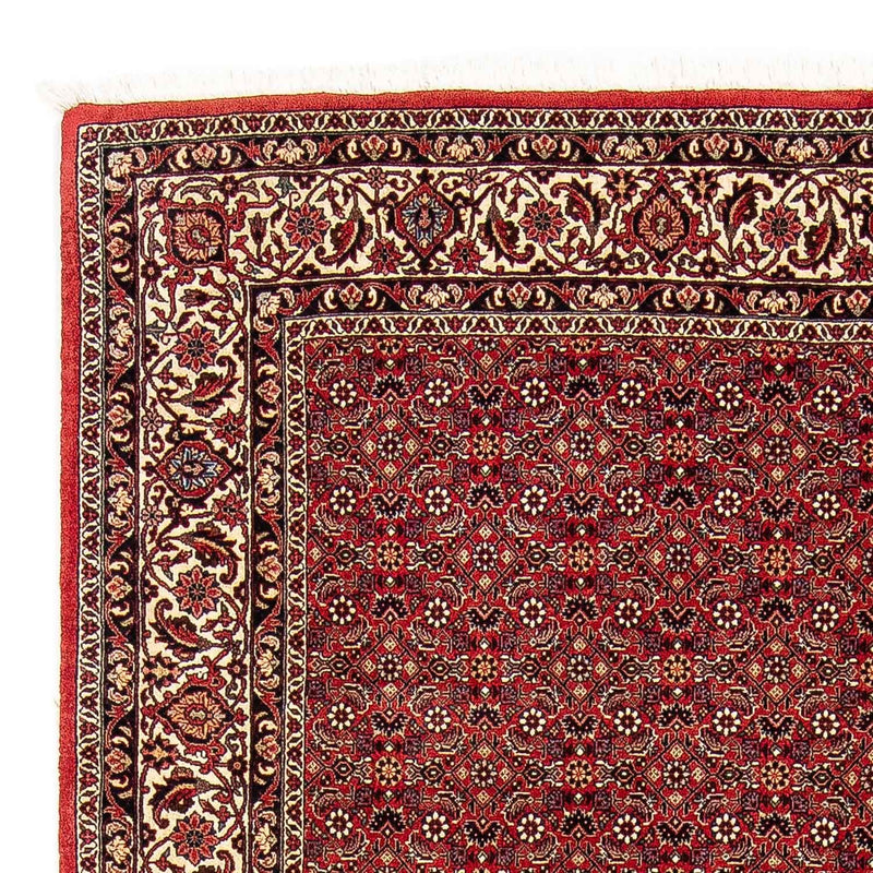 Alfombra persa - Bidjar - 248 x 174 cm - rojo