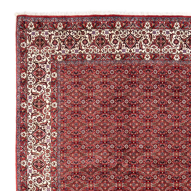 Alfombra persa - Bidjar - 340 x 252 cm - rojo